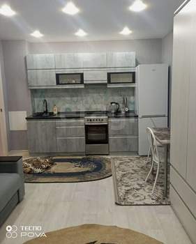 Студия квартира, на длительный срок, 27м2, 1/10 этаж