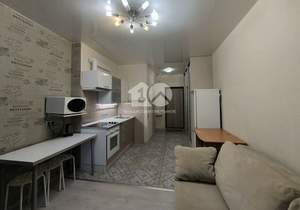 Студия квартира, на длительный срок, 24м2, 15/26 этаж