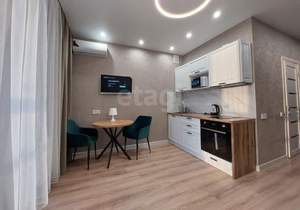 Студия квартира, на длительный срок, 27м2, 15/25 этаж