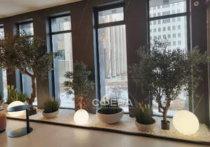 Студия квартира, на длительный срок, 25м2, 10/20 этаж