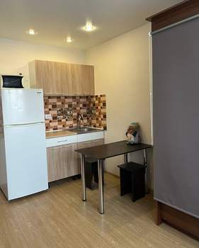 Студия квартира, на длительный срок, 22м2, 8/17 этаж