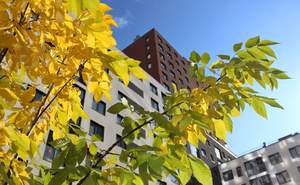 2-к квартира, на длительный срок, 40м2, 3/17 этаж