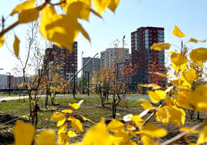 1-к квартира, на длительный срок, 31м2, 1/16 этаж