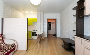 1-к квартира, на длительный срок, 27м2, 15/16 этаж