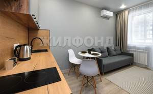 1-к квартира, на длительный срок, 24м2, 15/16 этаж