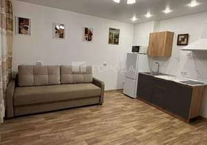 Студия квартира, на длительный срок, 30м2, 8/25 этаж