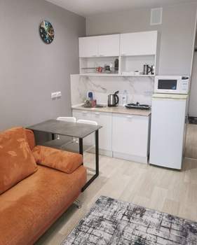 Студия квартира, на длительный срок, 24м2, 11/17 этаж