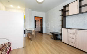 1-к квартира, на длительный срок, 27м2, 15/16 этаж