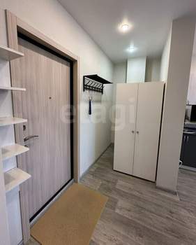 Студия квартира, на длительный срок, 25м2, 9/17 этаж