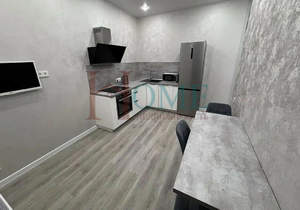 1-к квартира, на длительный срок, 42м2, 4/24 этаж