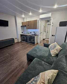 Студия квартира, на длительный срок, 25м2, 13/13 этаж