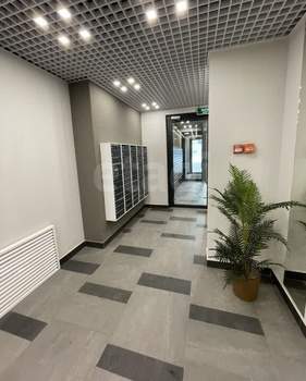 Студия квартира, на длительный срок, 22м2, 5/17 этаж