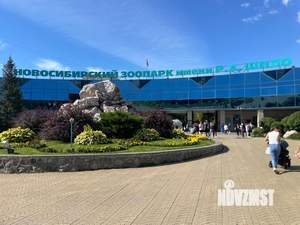 3-к квартира, посуточно, 56м2, 1/1 этаж