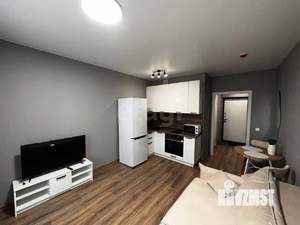 Студия квартира, на длительный срок, 22м2, 5/24 этаж