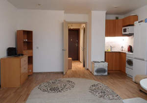 Студия квартира, на длительный срок, 30м2, 5/17 этаж