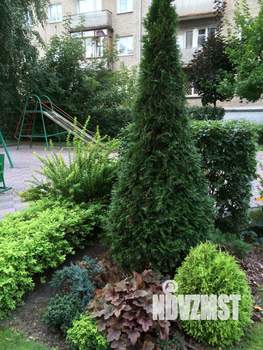 2-к квартира, на длительный срок, 67м2, 11/11 этаж