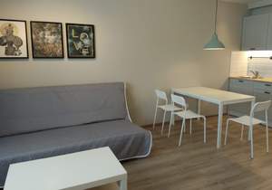 Студия квартира, на длительный срок, 33м2, 8/10 этаж