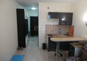 Студия квартира, на длительный срок, 25м2, 25/27 этаж