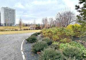 Студия квартира, на длительный срок, 20м2, 13/17 этаж