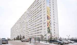 1-к квартира, на длительный срок, 24м2, 7/17 этаж