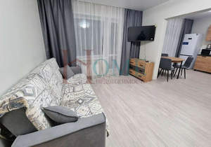 1-к квартира, на длительный срок, 41м2, 9/13 этаж