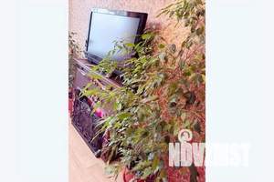 2-к квартира, посуточно, 54м2, 5/9 этаж