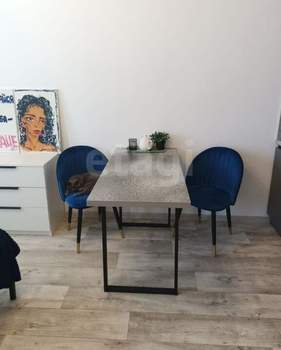 Студия квартира, на длительный срок, 26м2, 11/20 этаж