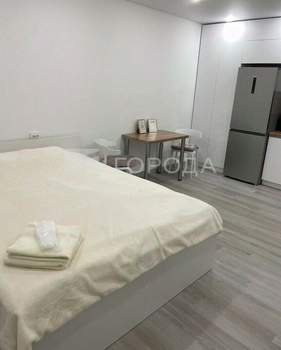 Студия квартира, на длительный срок, 29м2, 8/17 этаж