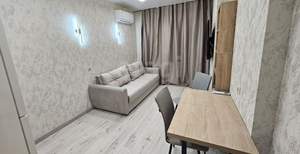 1-к квартира, на длительный срок, 24м2, 16/16 этаж