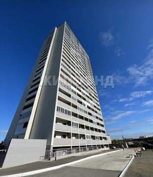 1-к квартира, на длительный срок, 25м2, 11/26 этаж