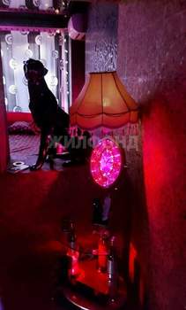 1-к квартира, на длительный срок, 50м2, 3/16 этаж