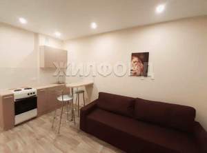 1-к квартира, на длительный срок, 24м2, 10/25 этаж