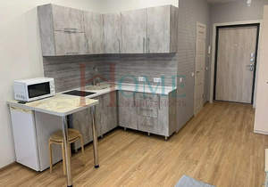 Студия квартира, на длительный срок, 28м2, 2/9 этаж