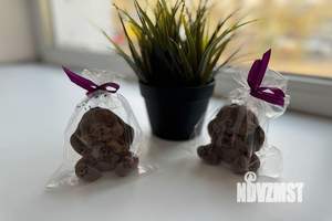 Студия квартира, посуточно, 20м2, 1/5 этаж