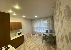 1-к квартира, на длительный срок, 41м2, 7/17 этаж