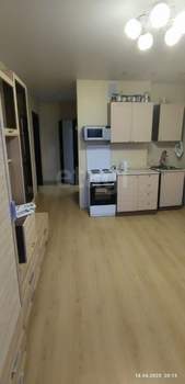 1-к квартира, на длительный срок, 43м2, 13/17 этаж