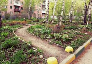 1-к квартира, на длительный срок, 31м2, 5/5 этаж