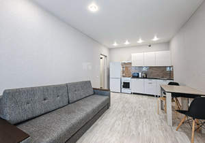 Студия квартира, на длительный срок, 25м2, 10/25 этаж