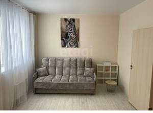 Студия квартира, на длительный срок, 30м2, 7/17 этаж