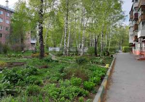 1-к квартира, на длительный срок, 31м2, 5/5 этаж