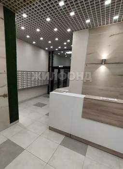 1-к квартира, на длительный срок, 24м2, 10/25 этаж