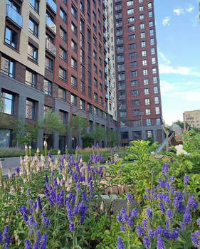 1-к квартира, на длительный срок, 31м2, 9/25 этаж
