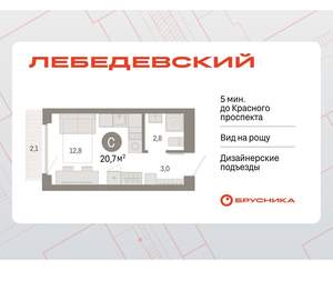 Студия квартира, вторичка, 21м2, 4/12 этаж