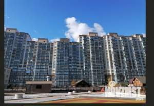 Студия квартира, вторичка, 25м2, 1/17 этаж