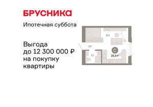 Студия квартира, вторичка, 28м2, 7/24 этаж