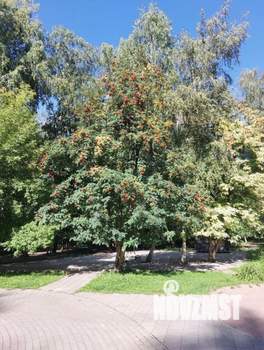 2-к квартира, вторичка, 44м2, 8/9 этаж