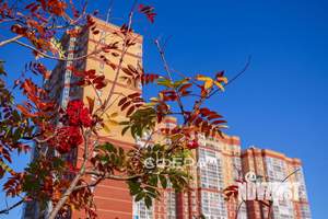 2-к квартира, вторичка, 70м2, 13/24 этаж