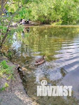 1-к квартира, вторичка, 38м2, 6/9 этаж