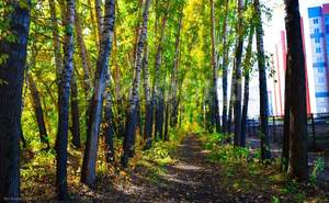 2-к квартира, вторичка, 56м2, 16/17 этаж