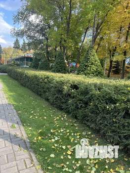 2-к квартира, вторичка, 69м2, 2/5 этаж